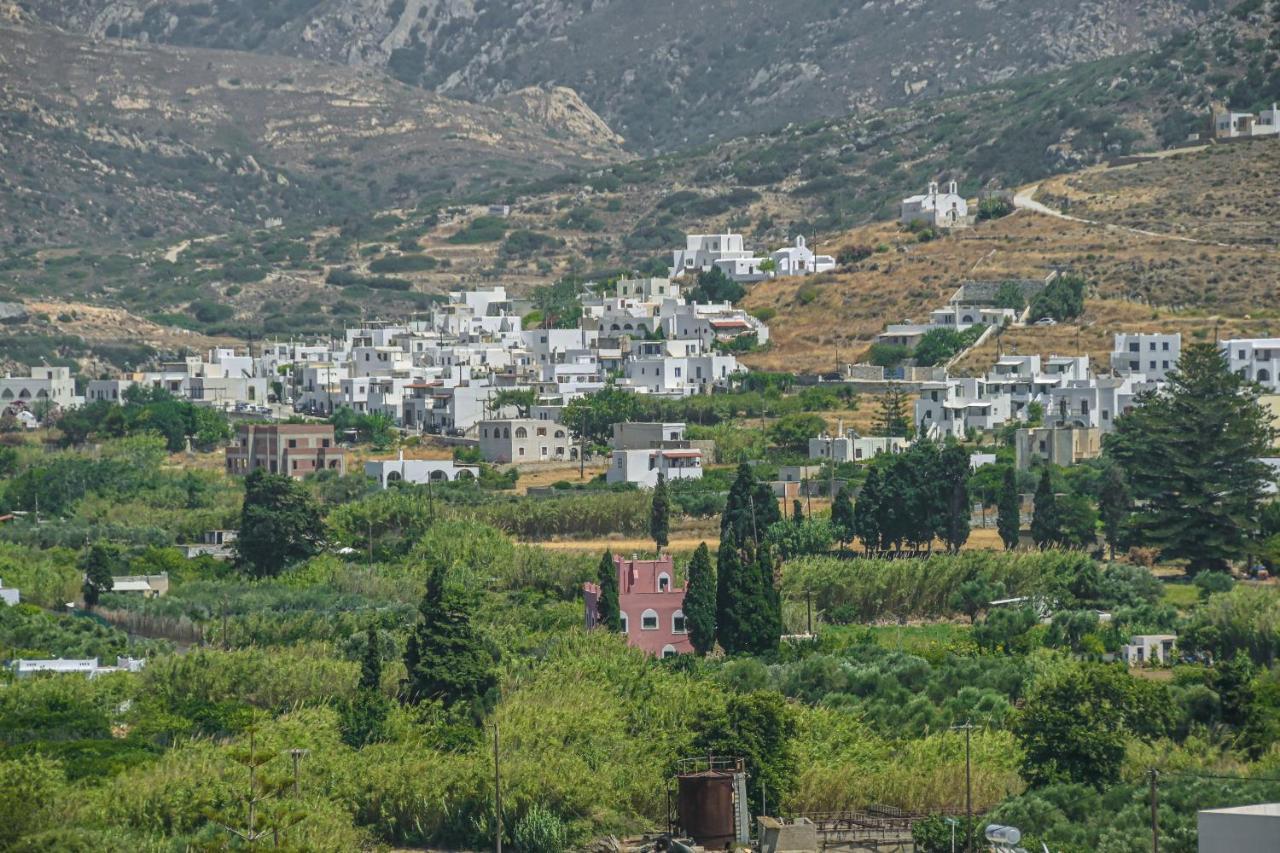Evdion Galini Villa Bagian luar foto